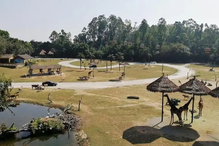Guangzhou Chimelong Safari Park